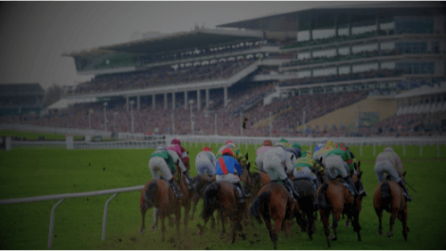Cheltenham